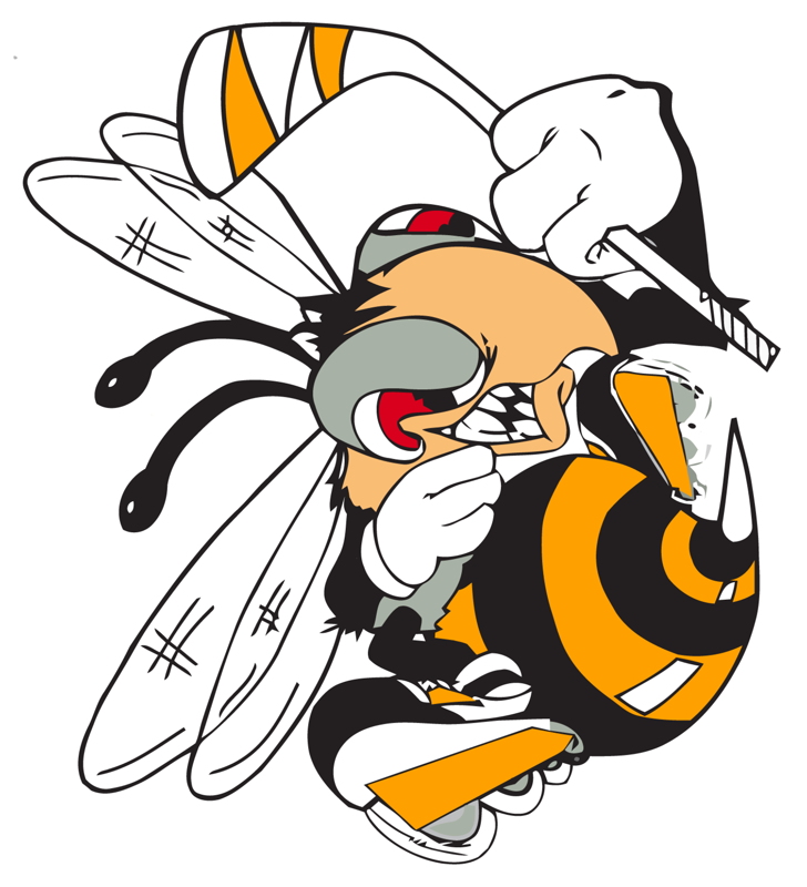 BIPHA British Inline Puck Hockey Association